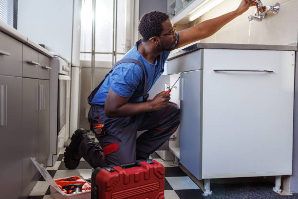 Best Garbage Disposal Repair and Installation  in Houghton Lake, MI